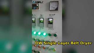 DW একক-স্তর বেল্ট ড্রাই