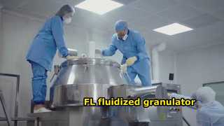 FL ফ্লুডাইজড গ্রানুলেটর