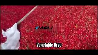 DW বেল্ট ড্রায়ার মেশিন