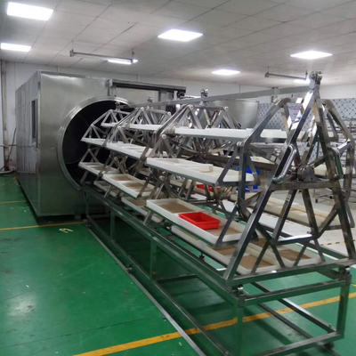 WKS মাইক্রোওয়েভ ভ্যাকুয়াম ড্রায়ার 9.6kg/H থেকে 12kg/H ফুড প্রসেসিং ডিহাইড্রেটর