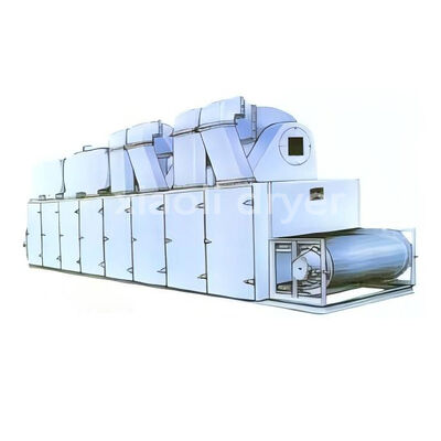 DW Series Single Layer Continuous Mesh Belt Dryer Industrial Drying Machine For Food Dehydration