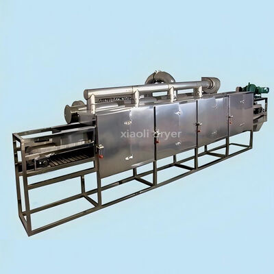 Energy Efficient Single Layer Conveyor Belt Dryer For Herbal Slices Drying
