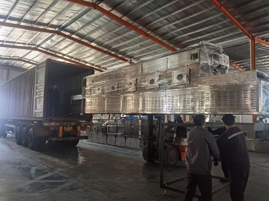 স্টেইনলেস স্টীল বেল্ট ক্রমাগত মাইক্রোওয়েভ ড্রায়ার নির্বীজন পরিবাহক ড্রায়ার মেশিন