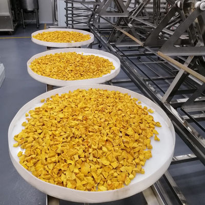 বাণিজ্যিক ফল সবজি মাইক্রোওয়েভ ভ্যাকুয়াম ড্রায়ার শিল্প খাদ্য শুকানোর মেশিন