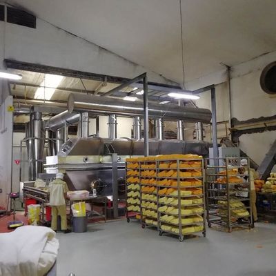 450V অনুভূমিক কম্পন তরল বিছানা ড্রায়ার রাসায়নিক ফার্মাসিউটিক্যাল শুকানোর সরঞ্জাম