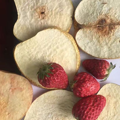 OEM ODM ভ্যাকুয়াম ফ্রিজ শুকানোর সরঞ্জাম পোষা খাদ্য শাকসবজি এবং ফল ড্রায়ার