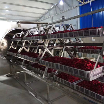 48kw রোটারি ভ্যাকুয়াম মাইক্রোওয়েভ ওভেন